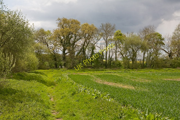 Photo 6"x4" Footpath approaching footbridge over Wallington River Boarhunt c2009
