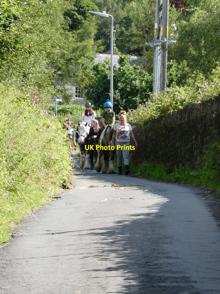 Photo 6"x4" Horses  on Factory Hill Horwich c2021