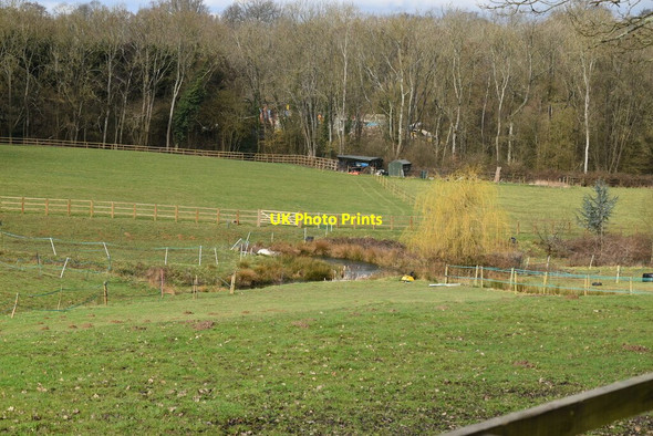 Photo 6"x4" Pond, Burleigh Arches Farm Crawley Down\/TQ3437 c2021