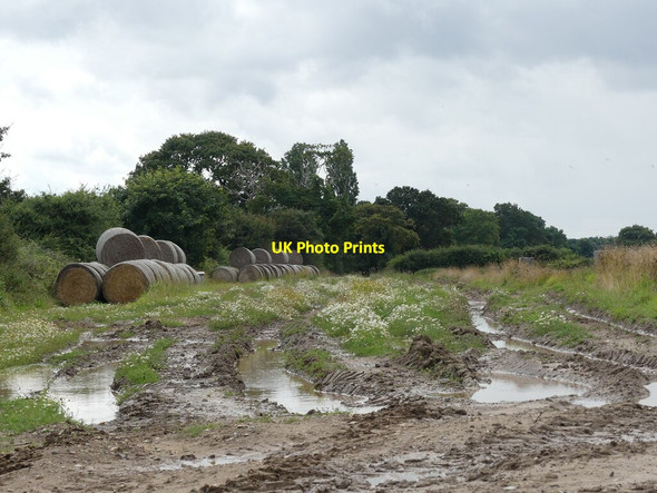 Photo 6"x4" Public Bridleway, allegedly Gimingham c2021