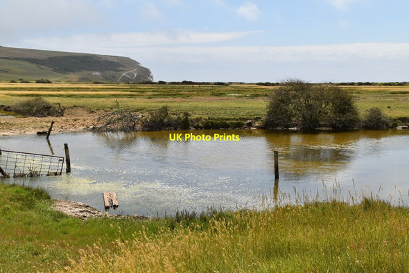 Photo 6"x4" Marshy pond by Vanguard Way Exceat c2020
