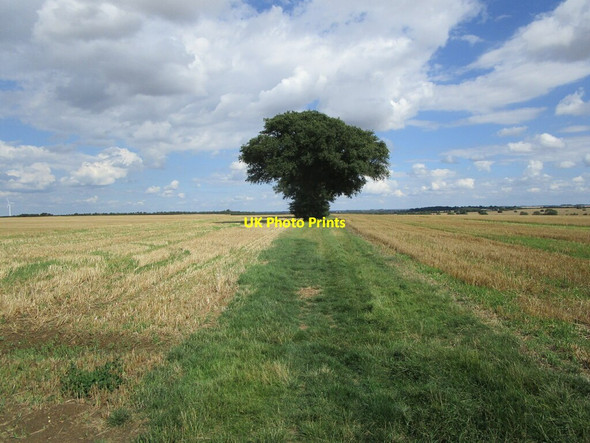 Photo 6"x4" Bridleway between two stubble fields Duck End\/TL2464 c2021