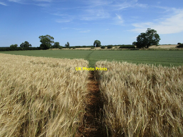 Photo 6"x4" Bridleway to Ingthorpe Ingthorpe c2021 P1