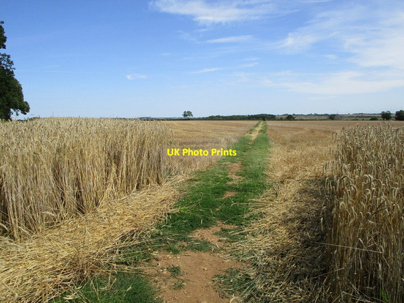 Photo 6"x4" Bridleway to Ingthorpe Ketton c2021