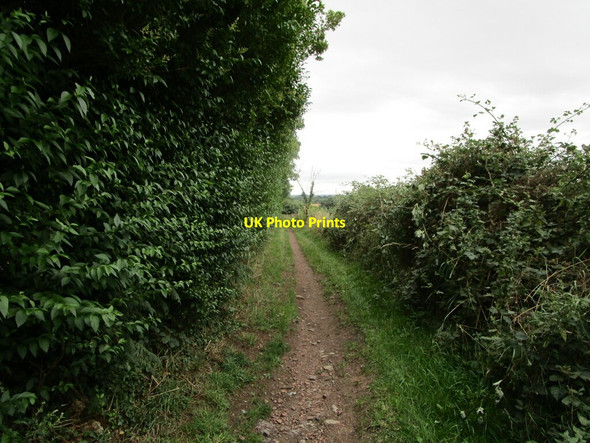 Photo 6"x4" Bridleway to Carter Lane, Church Warsop Market Warsop c2021