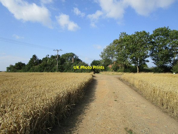 Photo 6"x4" Bridleway and Lodge Farm Papley c2021