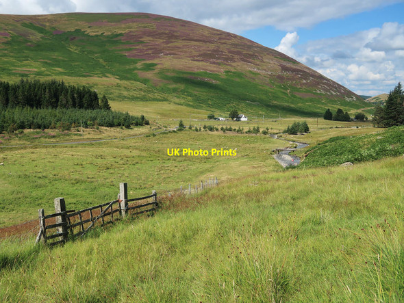 Photo 6"x4" Old gate and fence in Manor valley Langhaugh\/NT2031 c2021