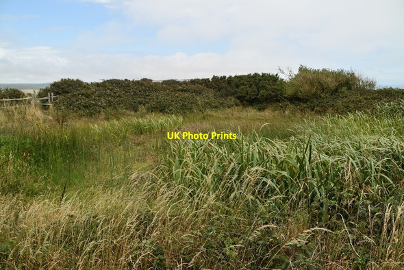 Photo 6"x4" Reedy pond, South Hill Barn Seaford c2020