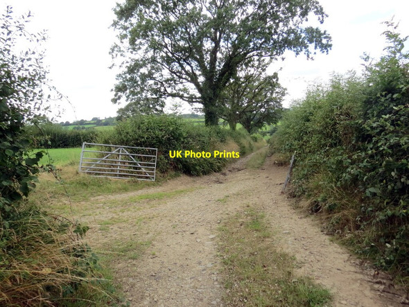 Photo 6"x4" Llwybr ceffyl ger Green Grove \/ Bridleway near Green Grove Cilgwyn\/SN7429 c2021
