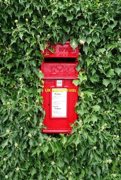 Photo 6"x4" Elizabeth II postbox on Oldbury Road, Worcester Worcester c2021