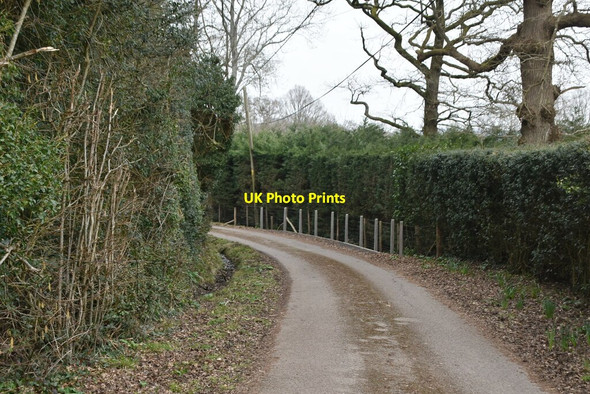 Photo 6"x4" Bridleway off Burnt Oak Rd High Hurstwood c2021