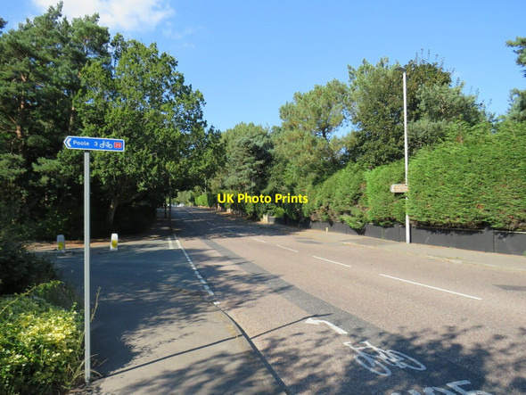 Photo 6"x4" Canford Cliffs Road, near Poole Branksome Park c2021
