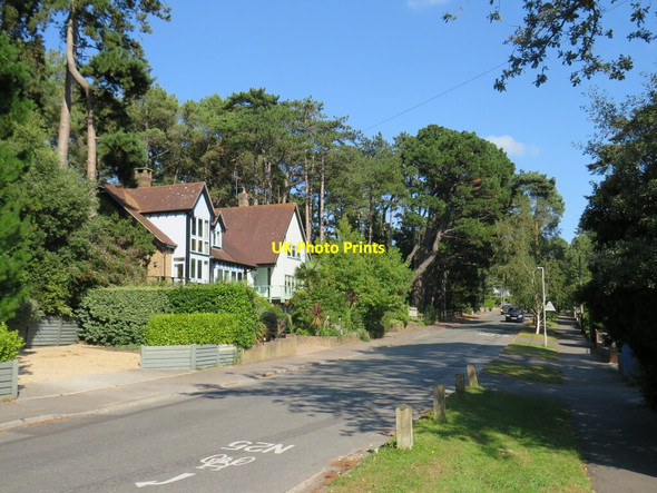 Photo 6"x4" Links Road, near Poole Branksome Park c2021