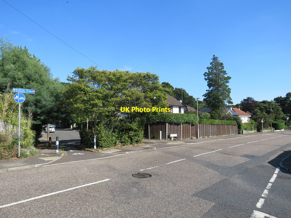 Photo 6"x4" Sandecotes Road, Parkstone, near Poole Branksome Park c2021
