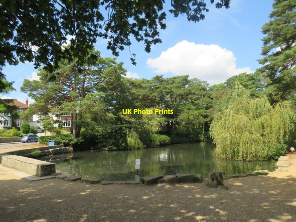 Photo 6"x4" Coy Pond, near Bournemouth Bournemouth c2021