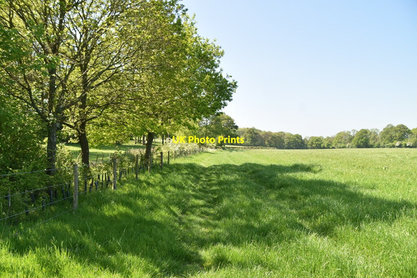 Photo 6"x4" Footpath along fence Bayley's Hill c2021
