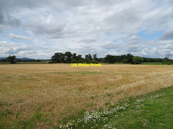 Photo 6"x4" Stubble field, Dunstall Common Dunstall Common c2021