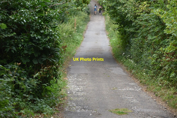 Photo 6"x4" Track in Friston Forest East Dean\/TV5598 c2020 P1