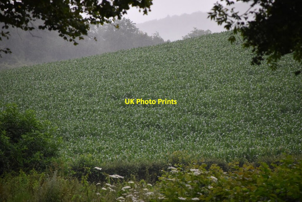 Photo 6"x4" Arable field Bolter End c2020