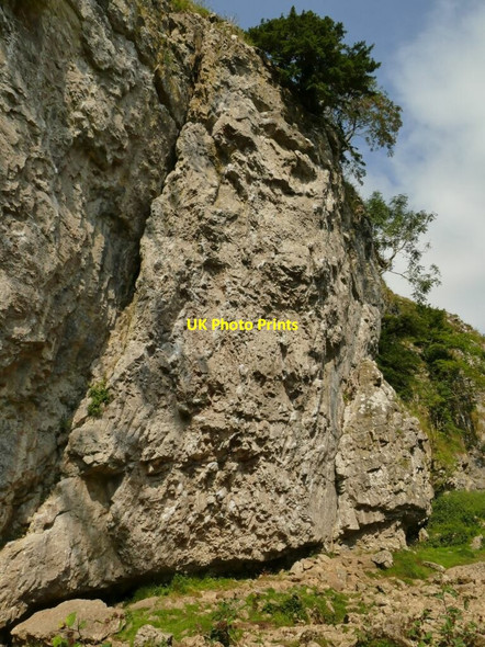 Photo 6"x4" Limestone geology, Trollers Gill Skyreholme c2021