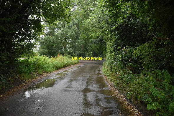 Photo 6"x4" Parmoor Lane Parmoor c2020 P2