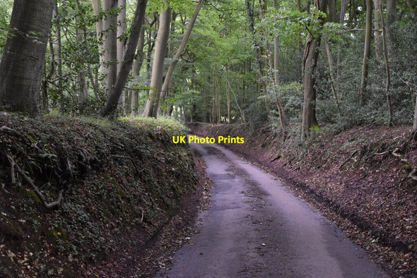 Photo 6"x4" Holloway Lane Turville Heath c2020