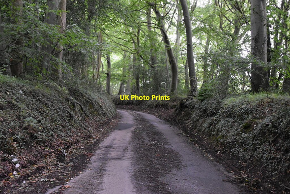 Photo 6"x4" Holloway Lane Turville Heath c2020 P1