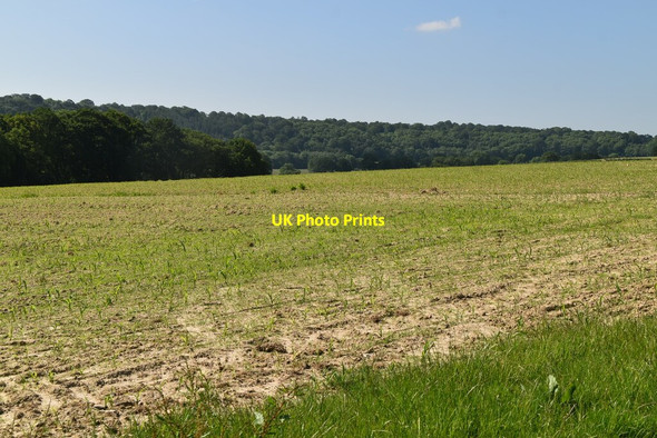 Photo 6"x4" Arable land Penshurst c2021