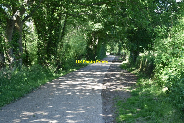 Photo 6"x4" Eden Valley Walk, Penshurst Park Penshurst c2021