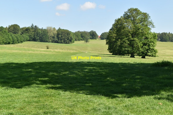 Photo 6"x4" Penshurst Park Penshurst c2021