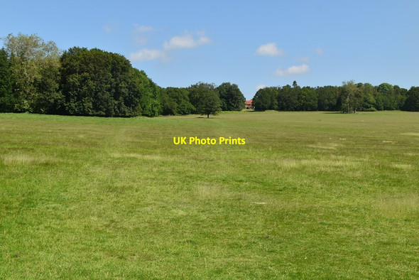 Photo 6"x4" Penshurst Park Penshurst c2021