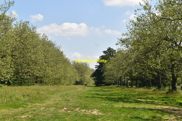 Photo 6"x4" Penshurst Place Cinder Hill\/TQ5346 c2021