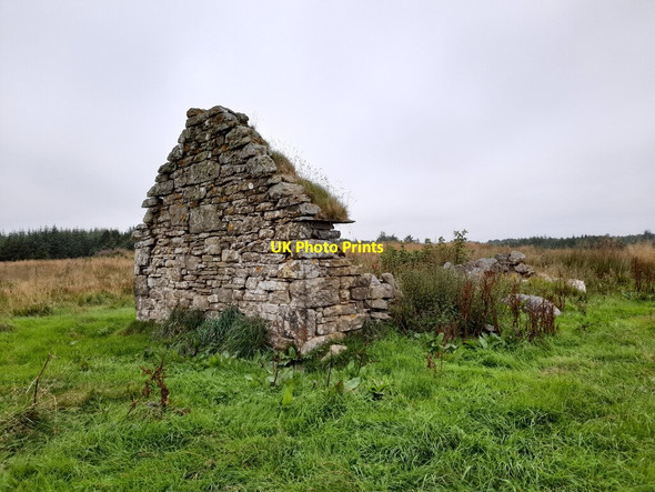 Photo 6"x4" Balmogie, Surviving Gable Clashcraggan c2021