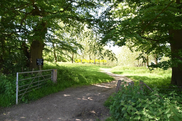 Photo 6"x4" Entering Penshurst Park Cinder Hill\/TQ5346 c2021