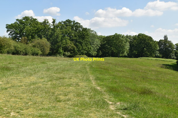 Photo 6"x4" Footpath to Leigh Cinder Hill\/TQ5346 c2021