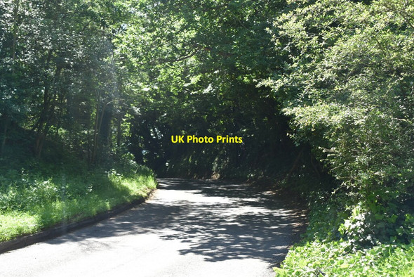 Photo 6"x4" Ensfield Rd Cinder Hill\/TQ5346 c2021