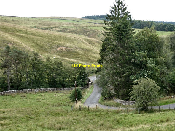 Photo 6"x4" A sudden drop to cross the Tarset Burn Greenhaugh\/NY7987 c2021