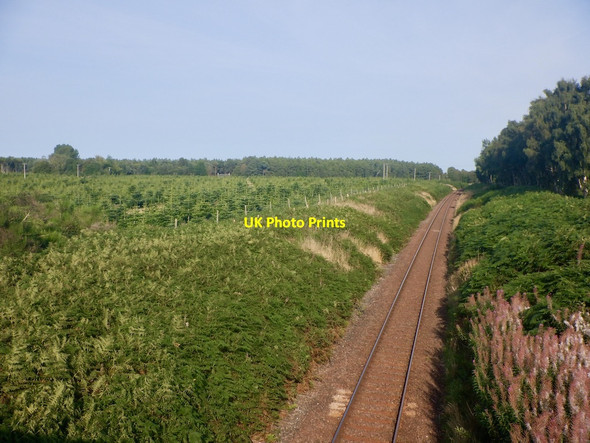 Photo 6"x4" Inverness to Aberdeen railway Auldearn c2021