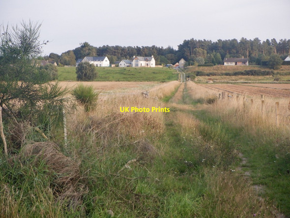 Photo 6"x4" Track near Kintessack Cloddymoss c2021