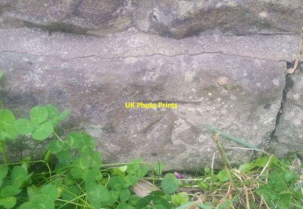 Photo 6"x4" Ordnance Survey Cut Mark Court Colman c2021 P1