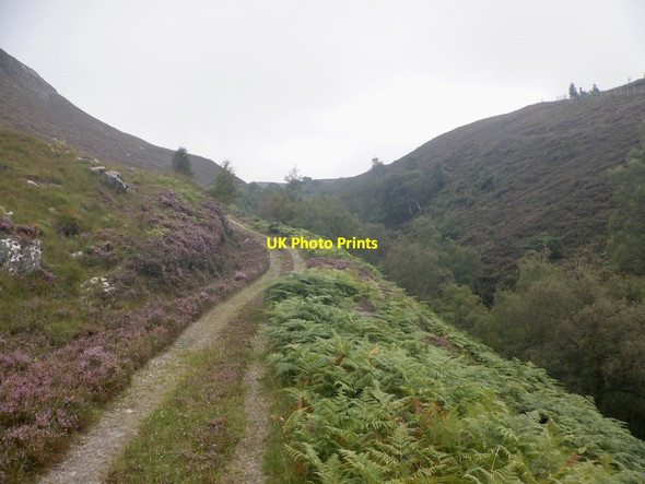 Photo 6"x4" Track up the Allt Toll a' Mhuic Carn an Daimh Bh\u00e0in c2021