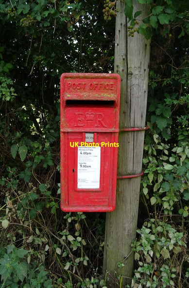 Photo 6"x4" Elizabeth II postbox on Bourne Road, Lower Strensham Lower Strensham c2021
