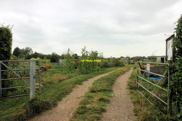 Photo 6"x4" Entrance to the allotments, South Street, Comberton Comberton\/TL3856 c2021