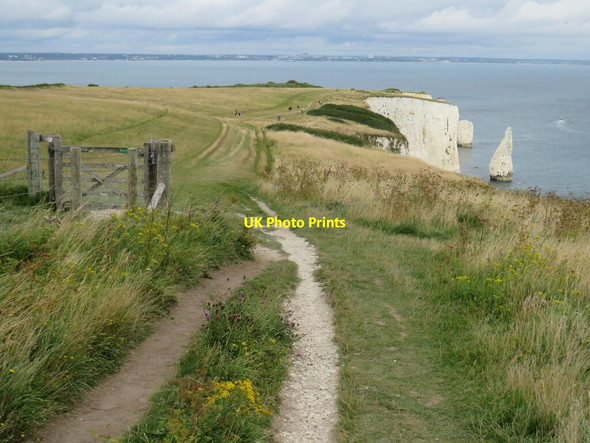 Photo 6"x4" South West Coast Path near Swanage Studland c2021