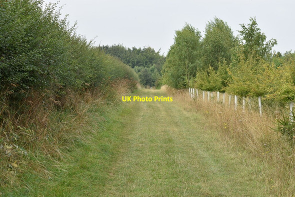 Photo 6"x4" Bridleway near South Farm Great Durnford c2021