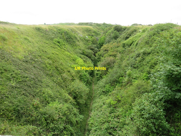 Photo 6"x4" Ravine on the Isle of Portland Fortuneswell c2021
