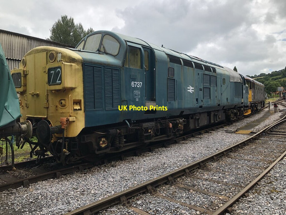 Photo 6"x4" Preserved Class 37 Locomotive at Buckfastleigh Buckfastleigh c2021