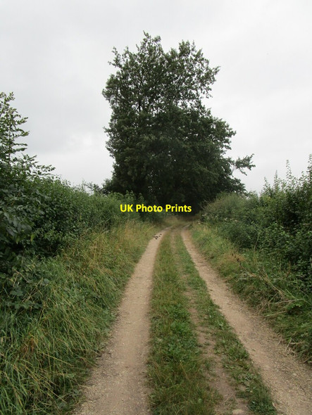 Photo 6"x4" Byway to Carver's Hollow Edingley c2021 P1