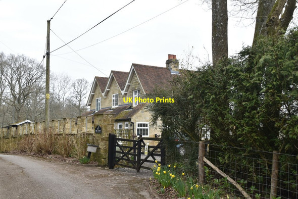 Photo 6"x4" The Hurst Burnt Oak\/TQ5127 c2021