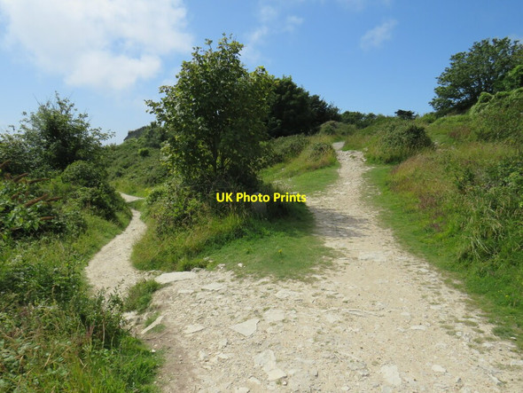 Photo 6"x4" South West Coast Path near Easton, Isle of Portland Fortuneswell c2021